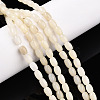 Natural White African Opal Beads Strands G-N346-02A-10-1