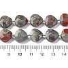 Natural Dragon Blood Beads Strands G-P570-E05-02-5