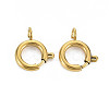 304 Stainless Steel Spring Ring Clasps LS-STAS-N095-049G-1