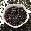 Spray Painted Glass Seed Beads SEED-F005-07A-04-2