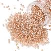 TOHO 8/0 Round Beads SEED-TR08-0031-1