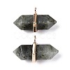Natural Labradorite Double Terminal Pointed Pendants G-N345-09H-1