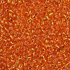 12/0 Glass Seed Beads X1-SEED-A005-2mm-29-2