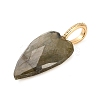 Natural Labradorite Pendants LS-G-C290-01D-2