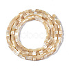 Natural Trochid Shell/Trochus Shell Beads Strands SSHEL-S266-009-2
