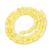 Natural Freshwater Shell Dyed Beads Strands SHEL-T020-29B-09-2