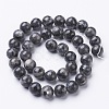 Natural Larvikite Beads Strands X-GSR10mmC128-3