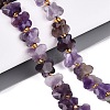 Natural Amethyst Beads Strands G-N371-10A-04-1