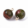 Natural Unakite Charms G-N332-024G-15-2
