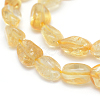 Natural Citrine Beads Strands G-P331-03A-3