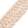 Opaque Glass Beads Strands GLAA-P076-01C-06-1