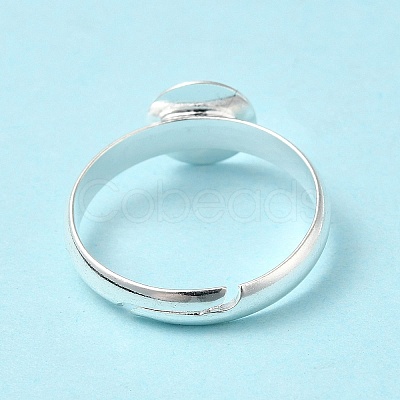 Brass Ring Components EC541-NFS-1