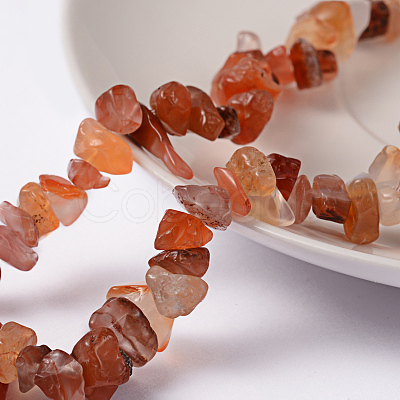 Natural Carnelian Chips Beads Strands F017-1