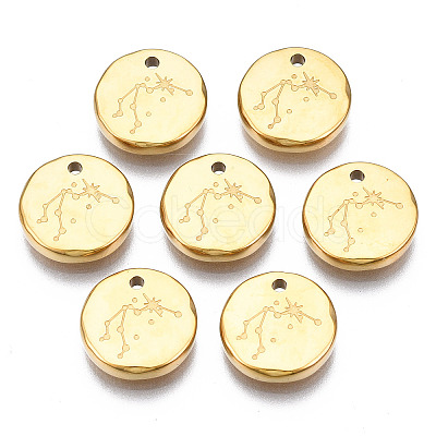 316 Surgical Stainless Steel Charms STAS-S116-418F-G-1
