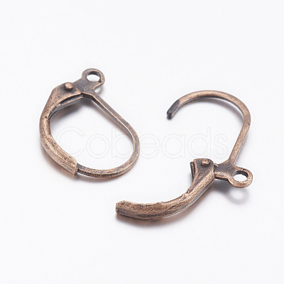 Brass Leverback Earring Findings EC223-NFR-1