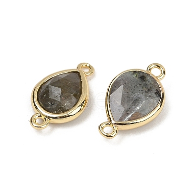 Natural Labradorite Faceted Connector Charms G-L514-048P-05-1