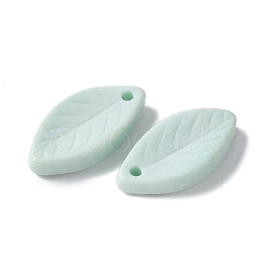 Natural Rainbow Alashan Agate Pendants G-G194-03E-1