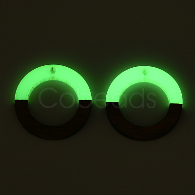 Walnut Wood & Luminous Glow in the Dark Resin Pendants RESI-N039-78-1