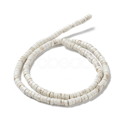Natural Howlite Beads Strands G-E604-A01-B-1