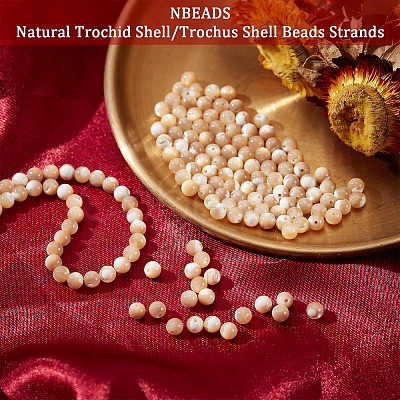 Nbeads Natural Trochid Shell/Trochus Shell Beads Strands SSHEL-NB0001-34-1