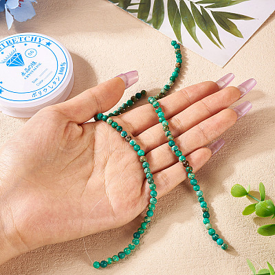 DIY Natural Regalite/Imperial Jasper/Sea Sediment Jasper Beads Bracelets Making KIts DIY-TA0002-69C-1