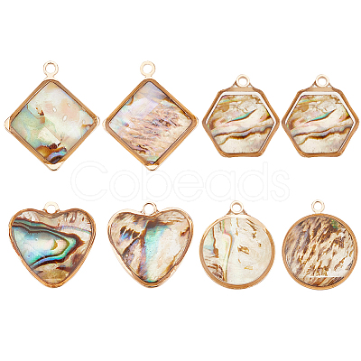 BENECREAT 8Pcs 4 Styles Natural Paua Shell Pendants SHEL-BC0001-022-1