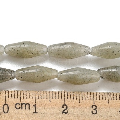 Natural Labradorite Beads Strands G-A223-A04-01-1