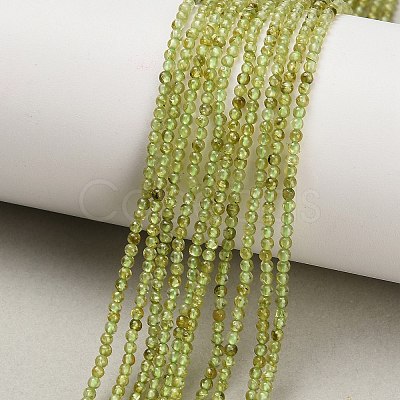 Natural Peridot Beads Strands G-A322-A07-2mm-1