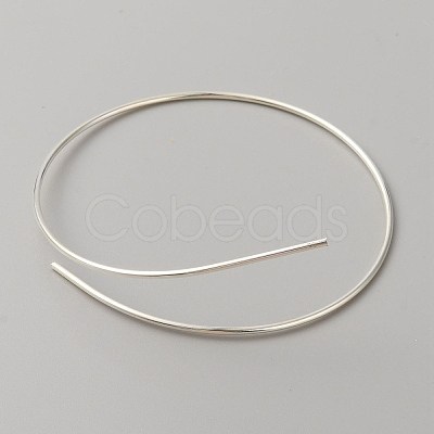 Sterling Silver Wire STER-WH0010-26S-1