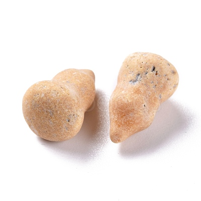 Natural Picture Jasper Beads G-M379-22-1