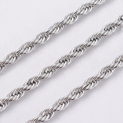 Tarnish Resistant 304 Stainless Steel Rope Chains CHS-F005-10P-1