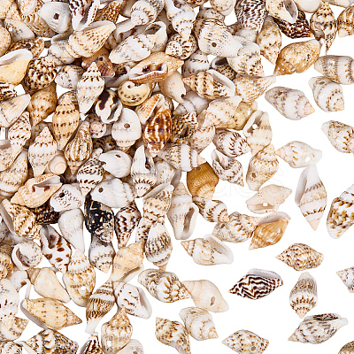 165g Natural Shell Pendants SHEL-PA0001-05-1