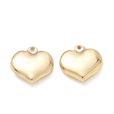 304 Stainless Steel Charms SA-CBA3037-20G-12-1