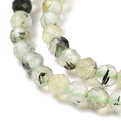 Natural Prehnite Beads Strands G-C009-A20-1