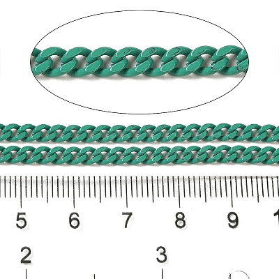Spray Painted 304 Stainless Steel Curb Chains STAS-B067-05B-10-1
