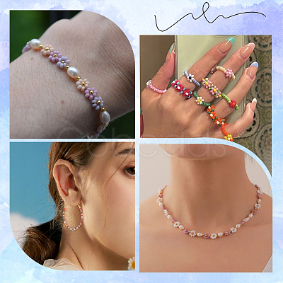Glass Seed Beads SEED-SC0001-51B-01-1