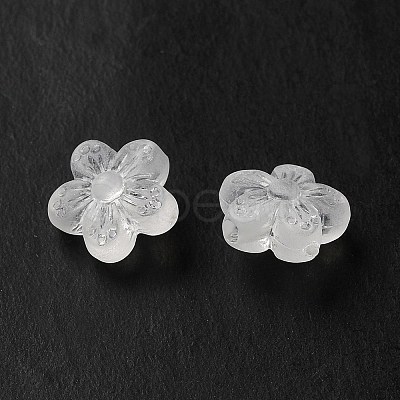 Transparent Acrylic Beads LS-OACR-L013-006-1