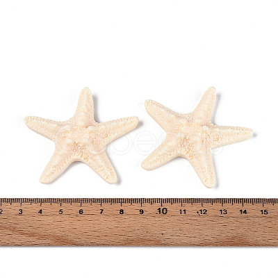 Resin Decoden Cabochons CRES-T025-05A-1