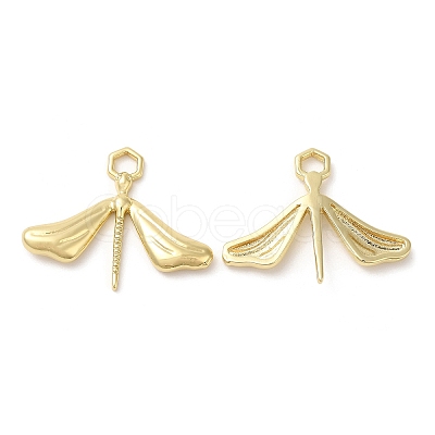 Eco-Friendly Brass Pendants KK-M246-19G-1