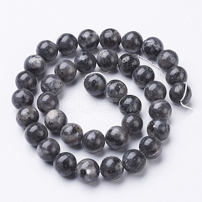 Natural Larvikite Beads Strands X-GSR10mmC128-1