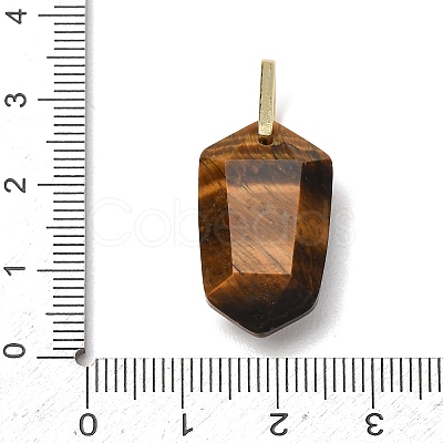 Natural Tiger Eye Pendants GG-CBA5FCC-01G-03-1