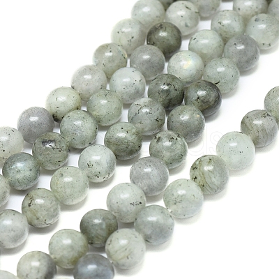 Natural Labradorite Beads Strands G-G828-01-10mm-1