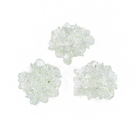 Transparent Acrylic Cabochons TACR-N006-16-A04-1