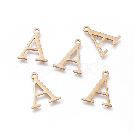 304 Stainless Steel Charms STAS-K215-19G-1