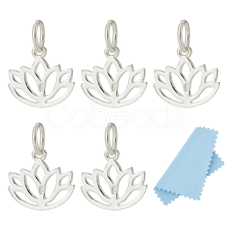5Pcs 925 Sterling Silver Charms STER-ME0001-49-1