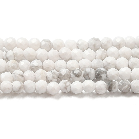 Natural Howlite Beads Strands G-E608-A01-A-1