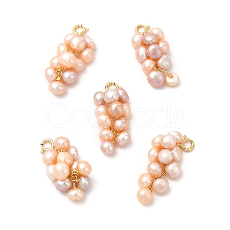 Natural Pearl Cluster Brass Spring Ring Clasp Charms KK-I697-08G-1