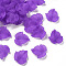 Autumn Theme Transparent Frosted Acrylic Pendants, Maple Leaf, Purple, 24x22.5x3mm, Hole: 1mm, about 962pcs/500g