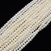 Natural Cultured Freshwater Pearl Beads Strands PEAR-L001-F-13-1