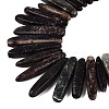 Natural Biotite Beads Strands G-Q616-06A-3